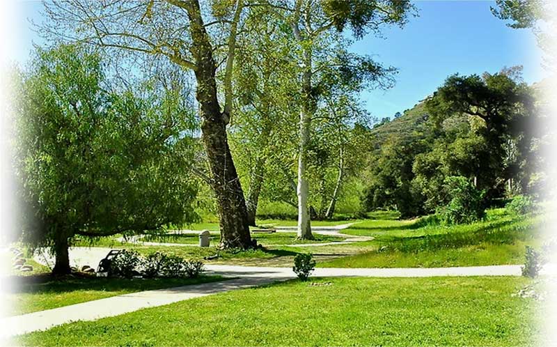 spring photo 1